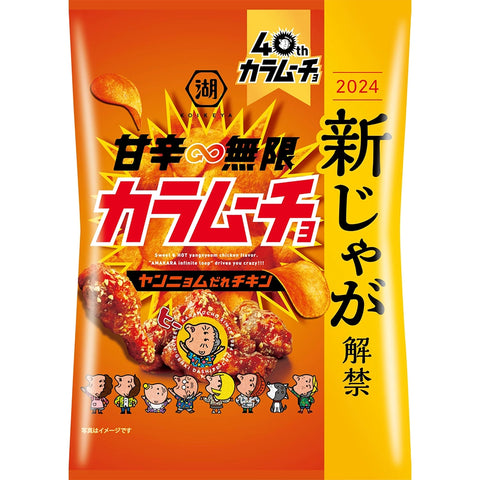 Koikeya Sweet & Spicy Chicken 53g – Snackje